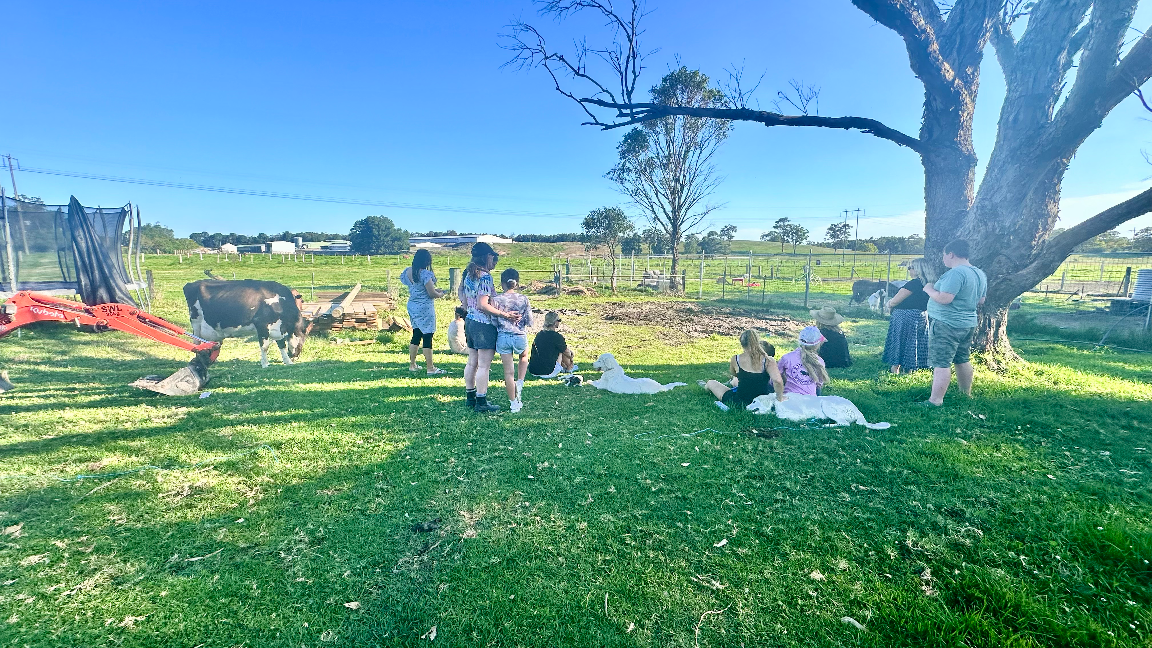 Open green spaces at The Stable Place farm