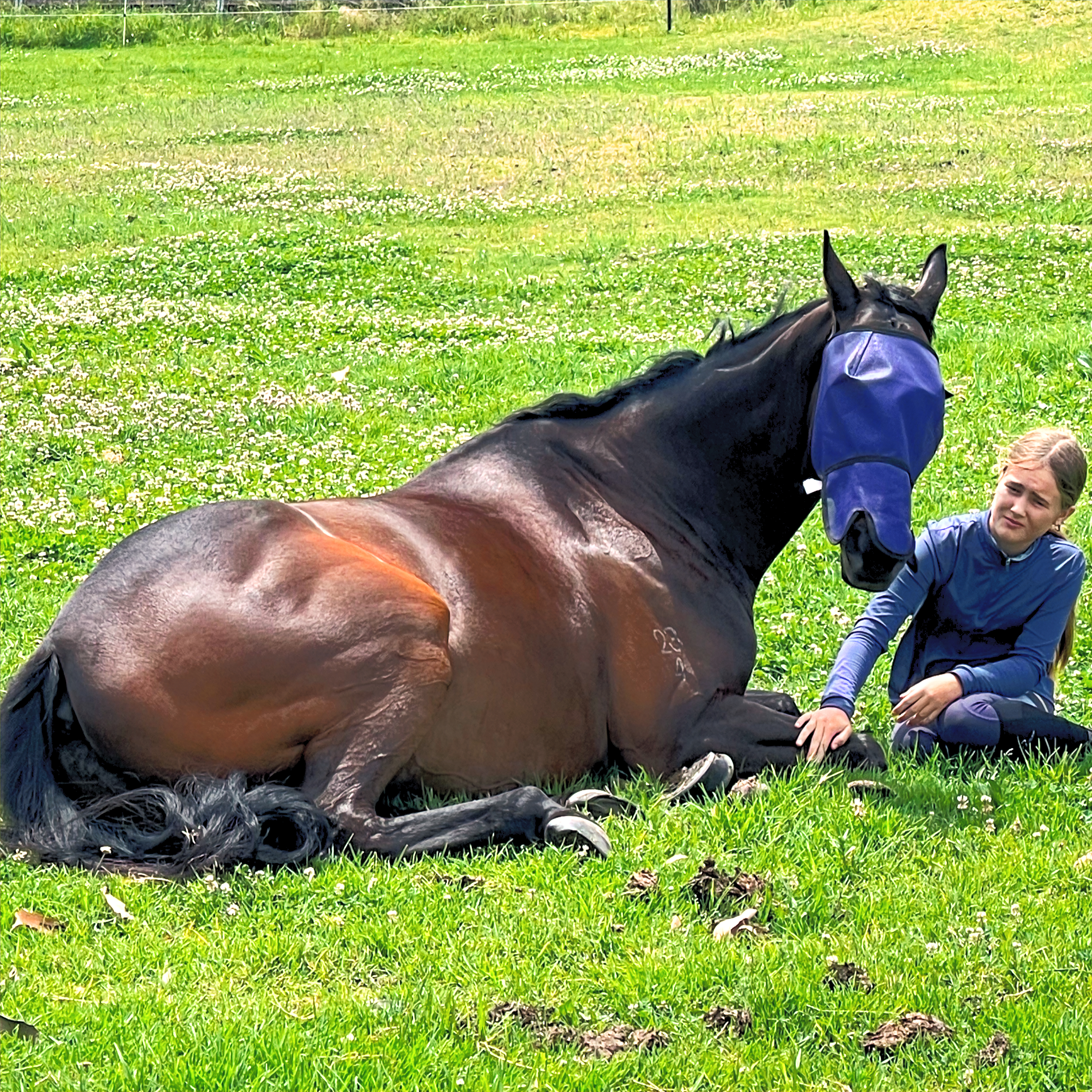 Quiet time with horses at The Stable Place