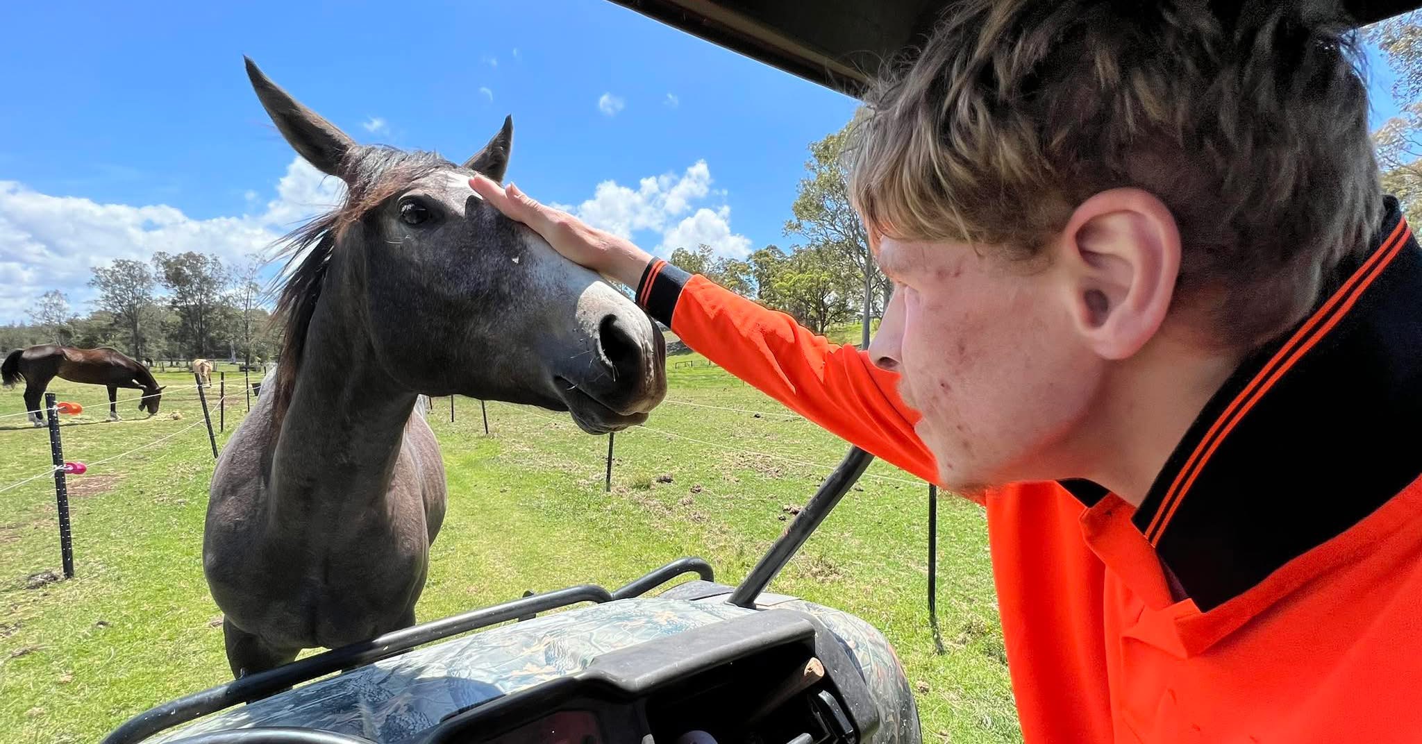 Patting a horse in the paddock