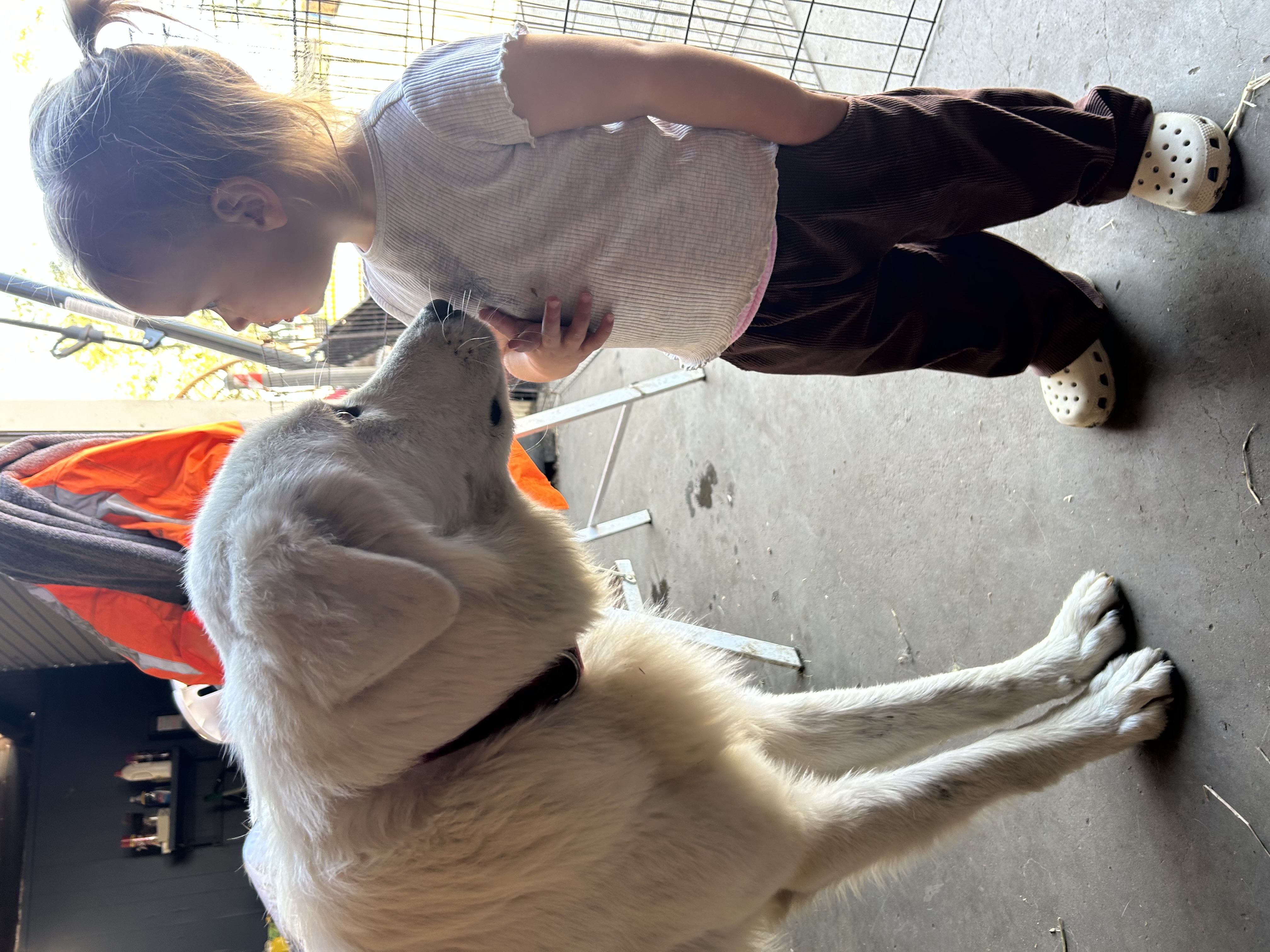 Young person with therapy dog